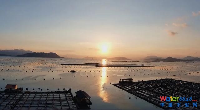 廣西衛(wèi)視對(duì)話中國(guó)工程院院士高從堦:廣西海洋經(jīng)濟(jì)大有可為